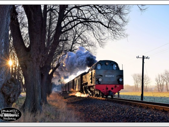 Mit dem ersten Zug des Tages nach Kühlungsborn, ist 99 2321-0 am Ortsrand von Bad Doberan unterwegs.