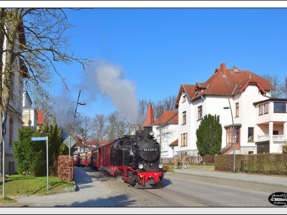 Mit ihrem Zug aus Ostseebad Kühlungsborn kommend, bog 99 2331 am 08. März 2024 aus der Dammchaussee in die Goethestraße von Bad Doberan ein.