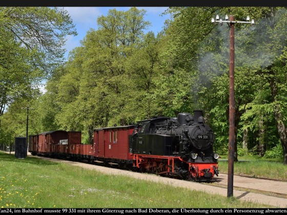 Fotozug Bäderbahn Molli Bf Rennbahn 2019