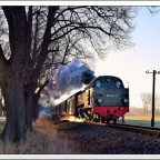 Mit dem ersten Zug des Tages nach Kühlungsborn, ist 99 2321-0 am Ortsrand von Bad Doberan unterwegs.